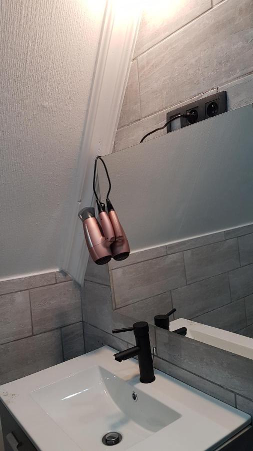 Apartament Le Petit Luxembourg Montignies-sur-Sambre Zewnętrze zdjęcie