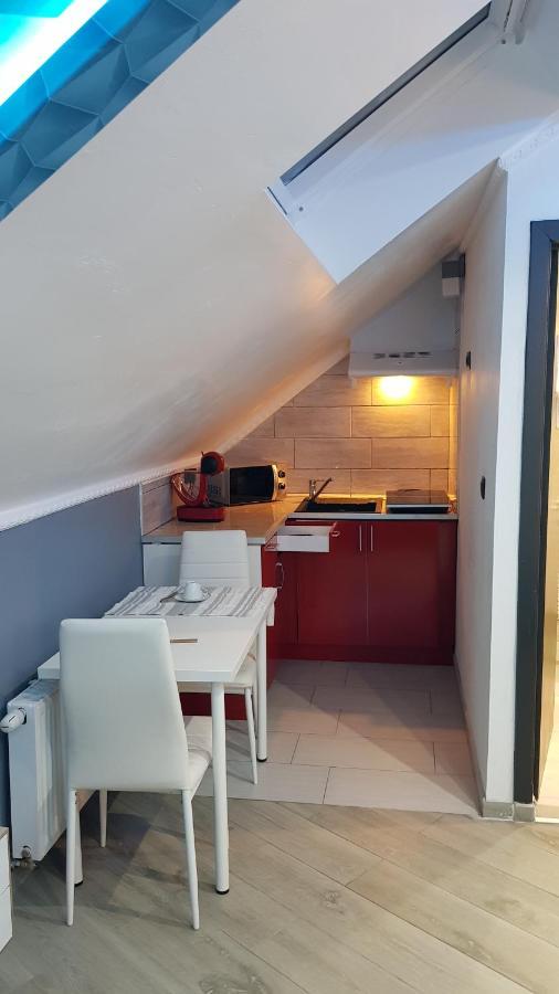 Apartament Le Petit Luxembourg Montignies-sur-Sambre Zewnętrze zdjęcie